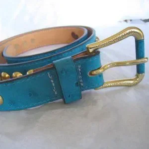 Louis Vuitton | Accessories | Extremely Rare Blue Stud 